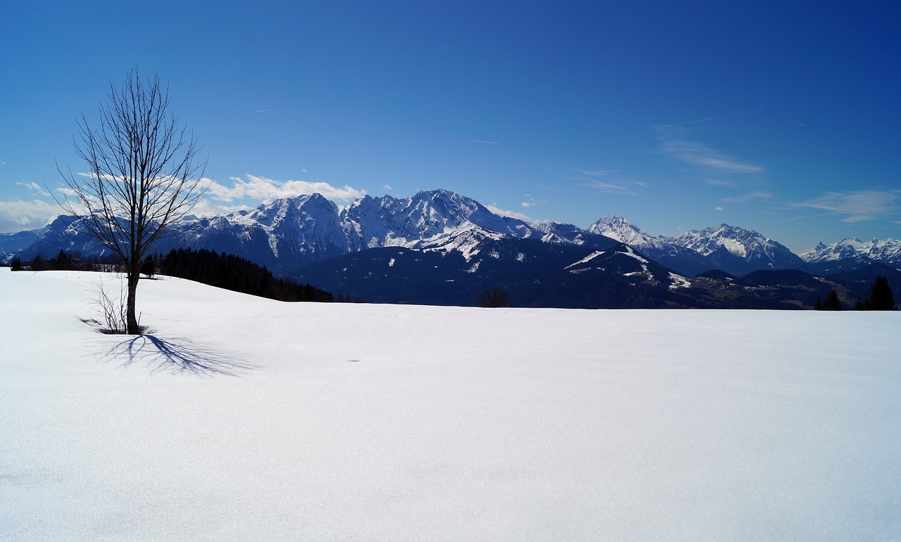 untouched snow  lonely  sky free photo