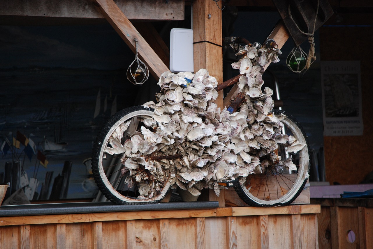 bike covered shells free photo