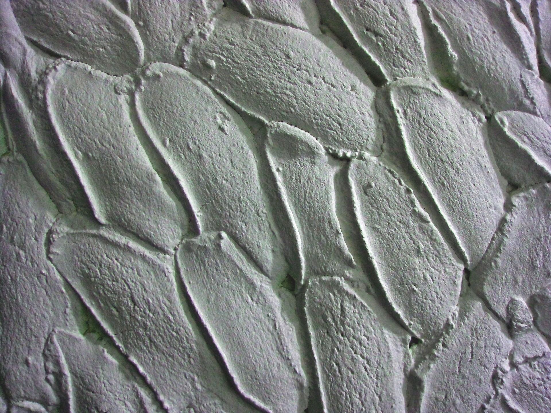 wall white scallops free photo