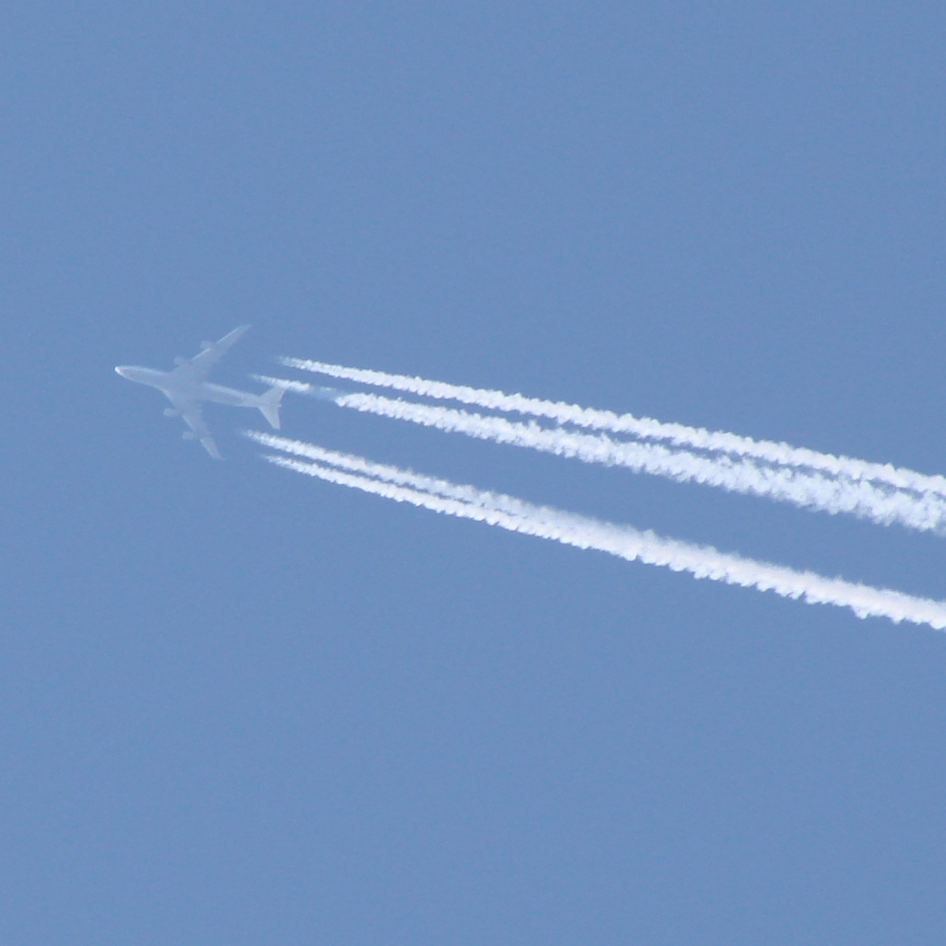 plane sky upward free photo