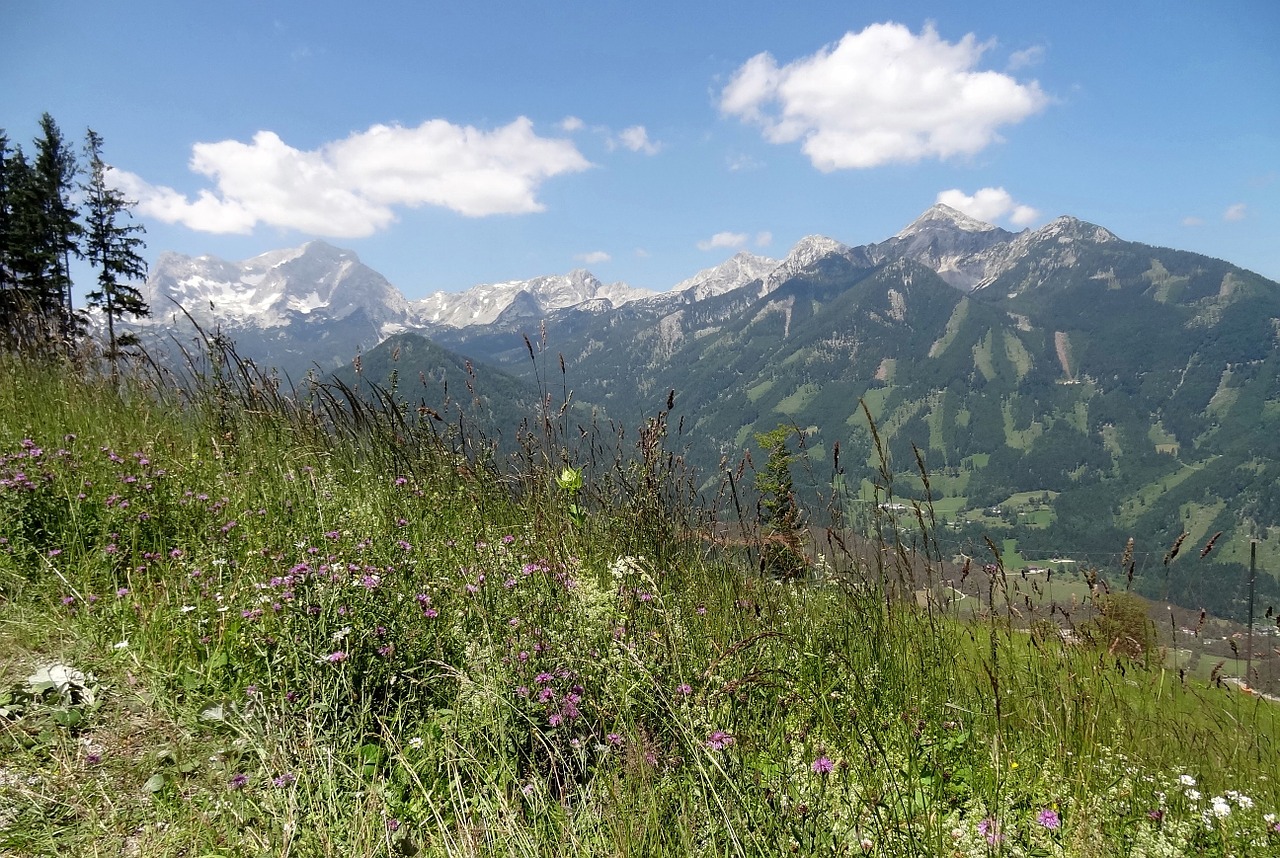 upper austria höss panoramastraße holiday free photo