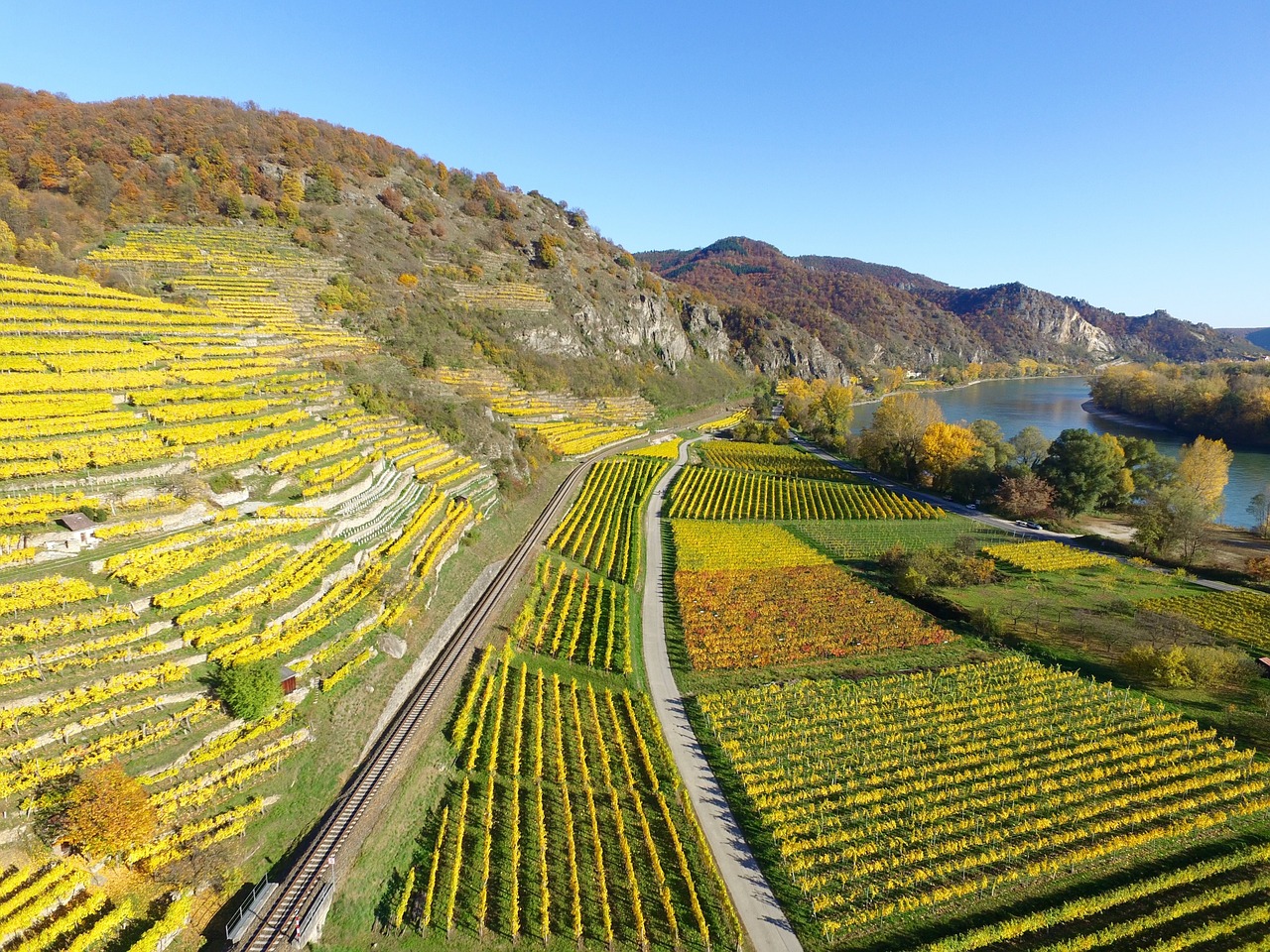 upper rhine valley vineyards river free photo