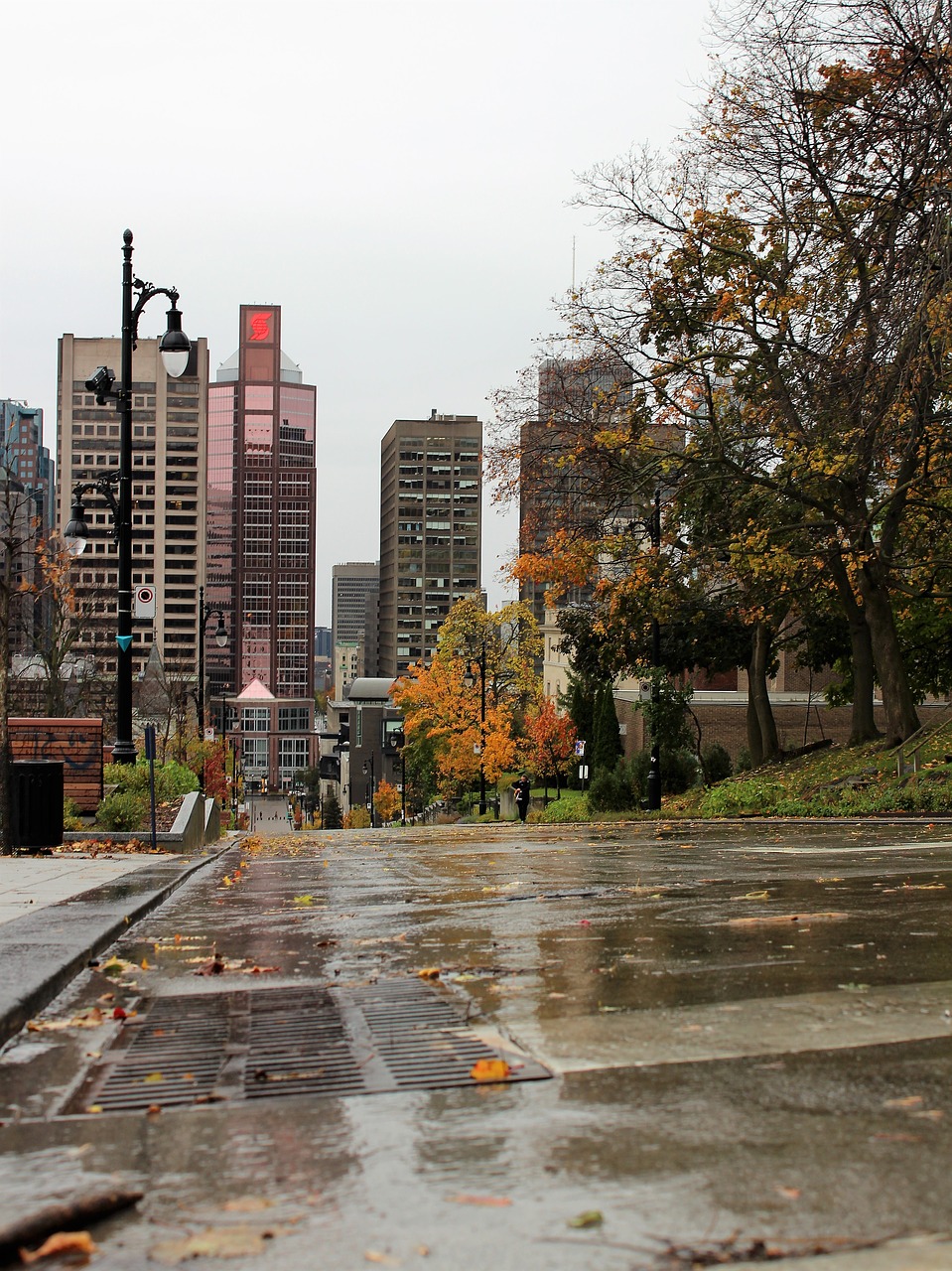 urban  street  buildings free photo