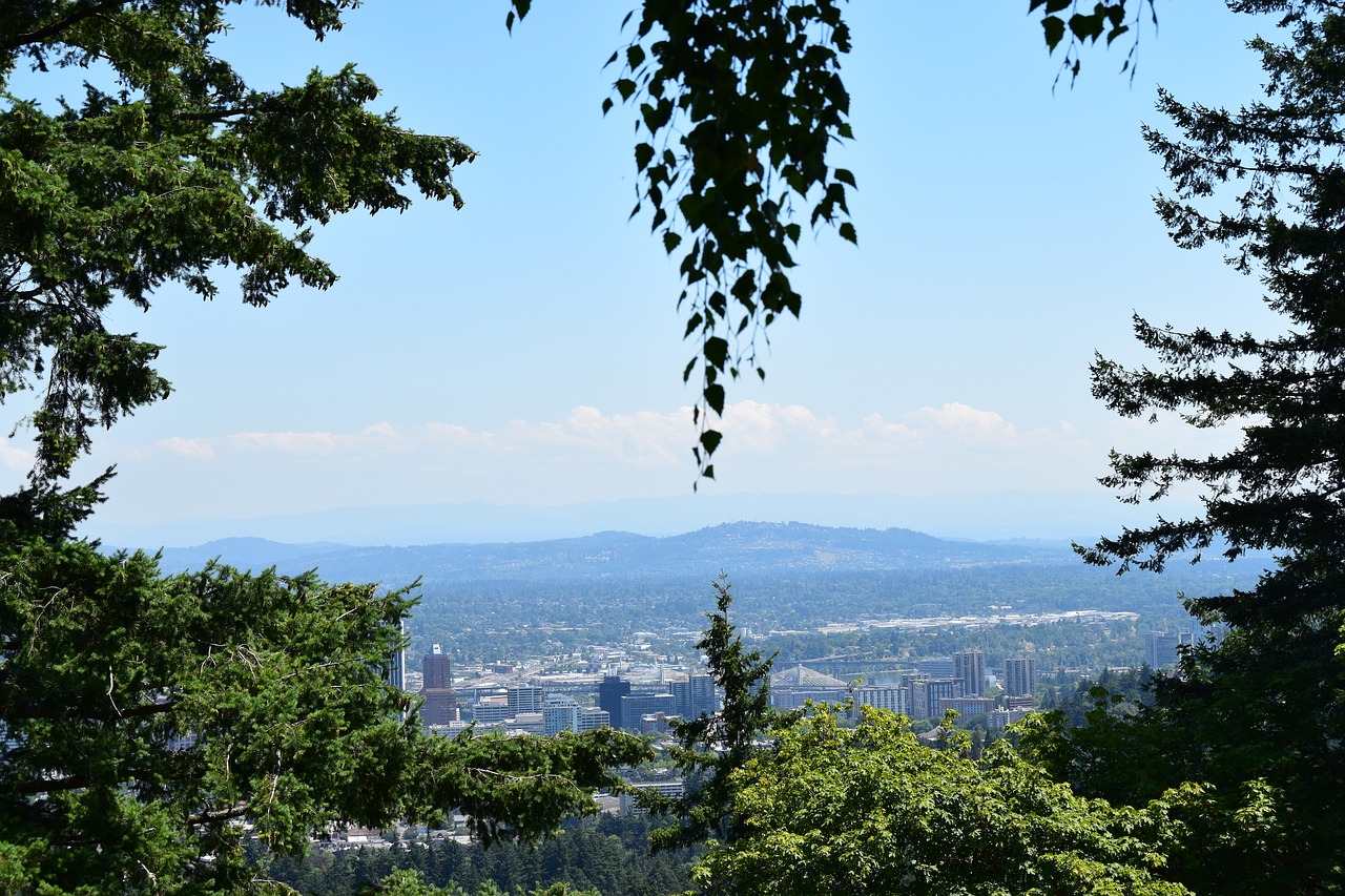 urban scenery portland trees free photo