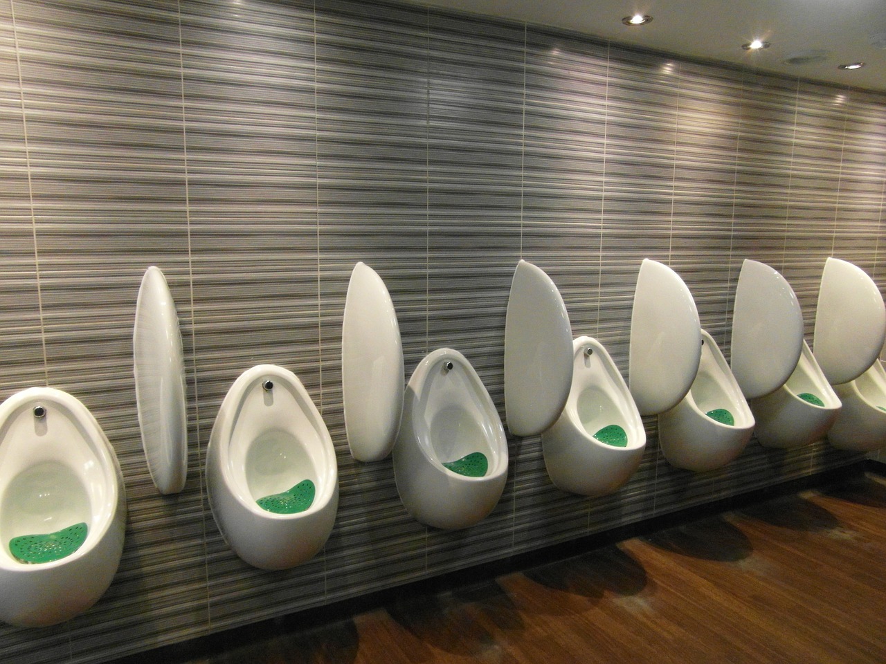 urinal toilet gents free photo