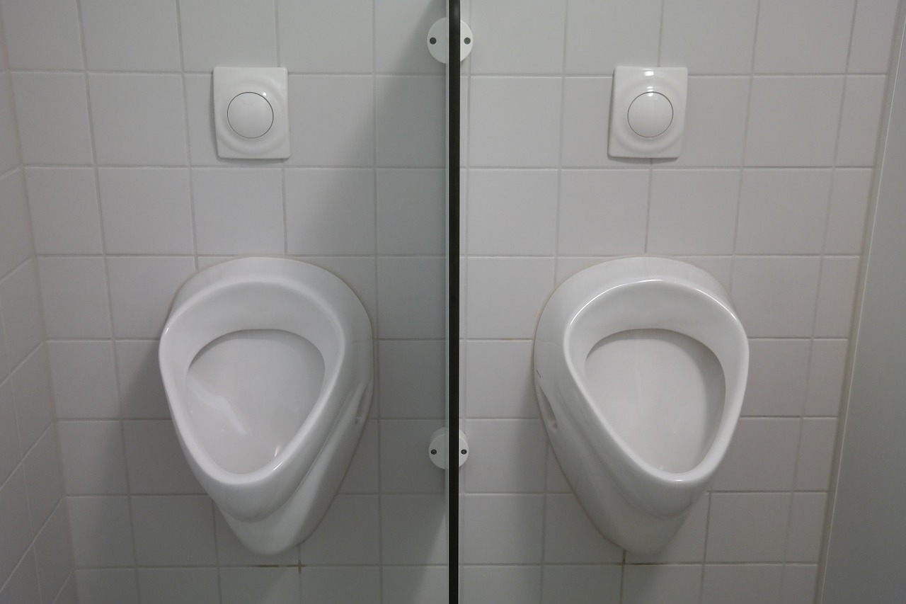 urinal toilet wc free photo