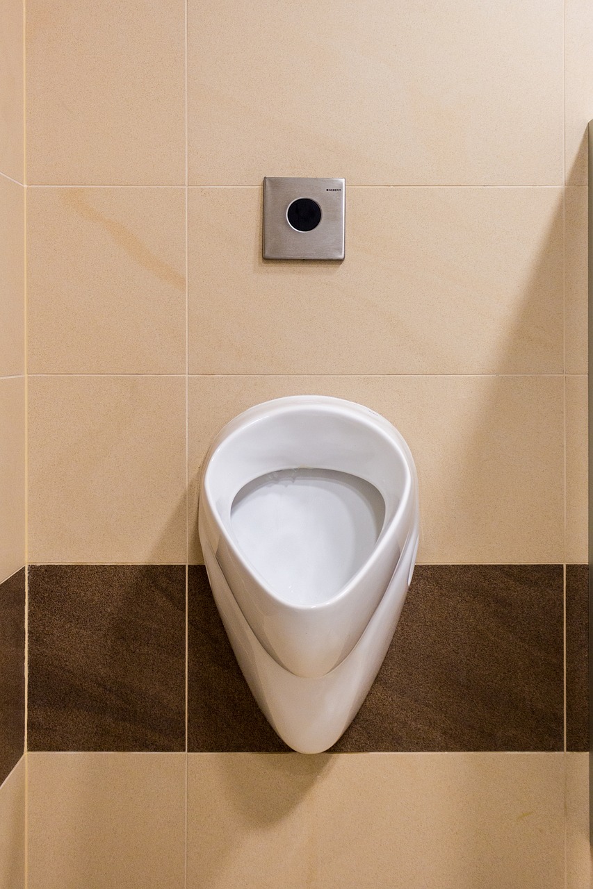 urinal toilet public toilet free photo