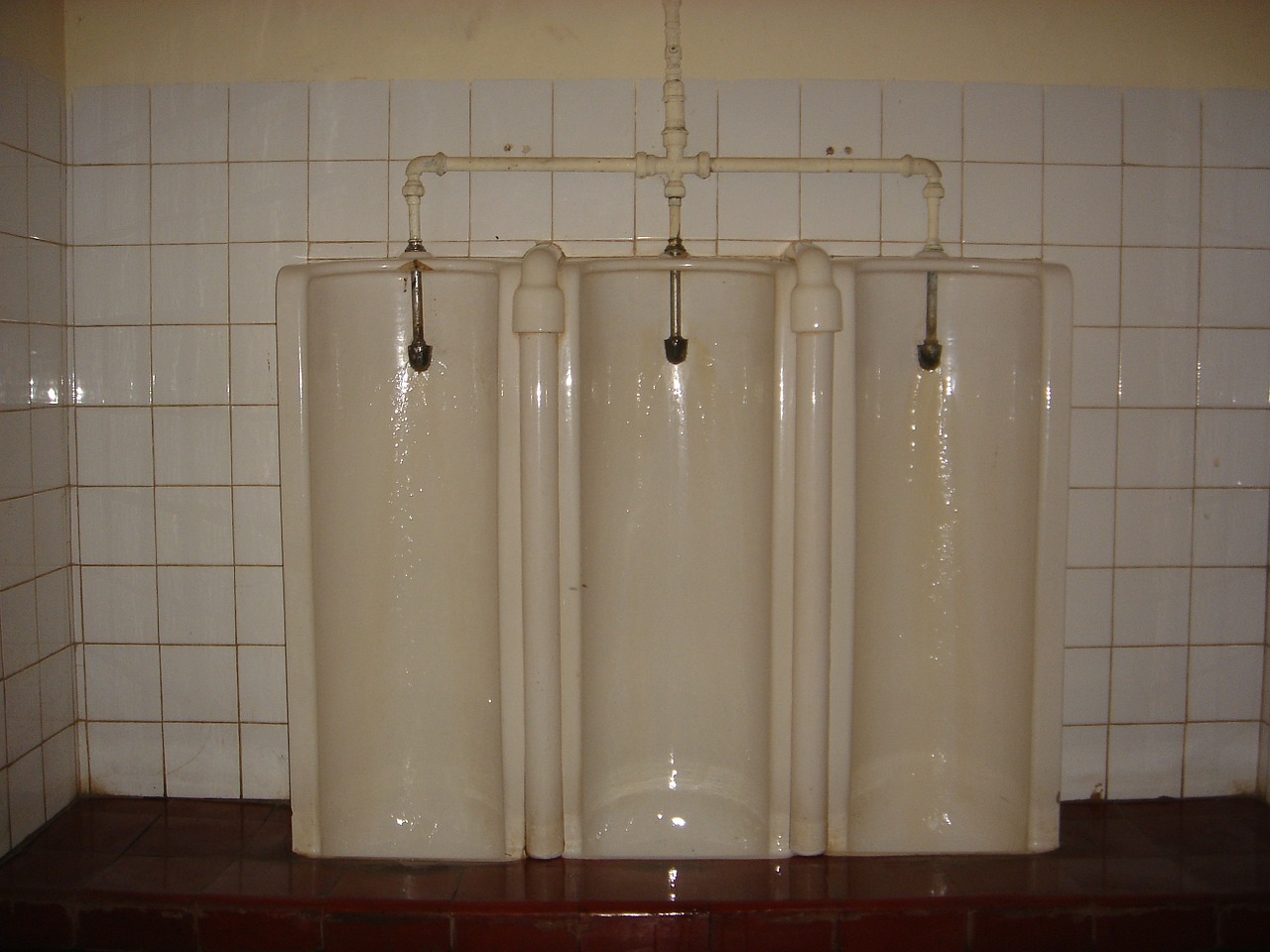 urinary toilet bathroom free photo