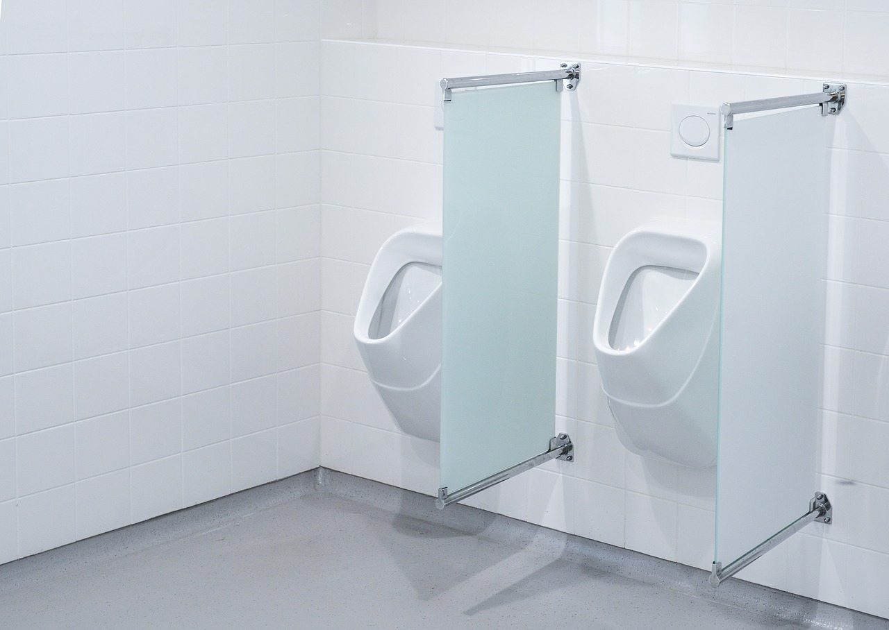 urinoir  toilet  wc free photo