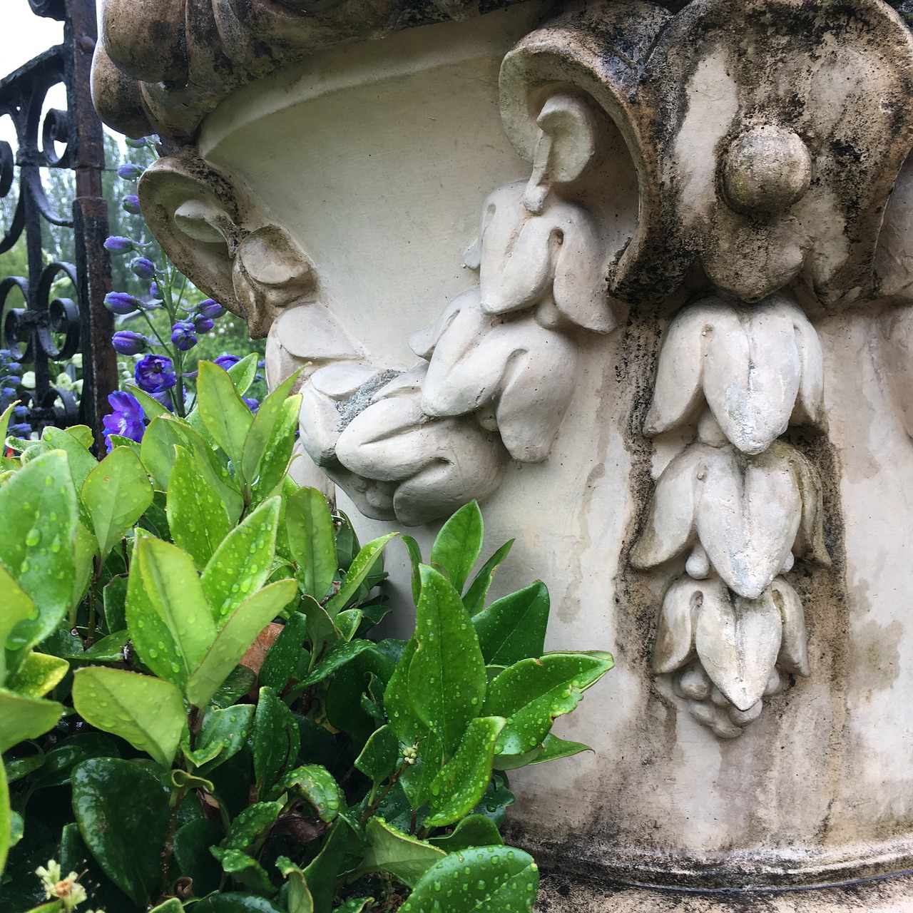 urn garden garden urn free photo