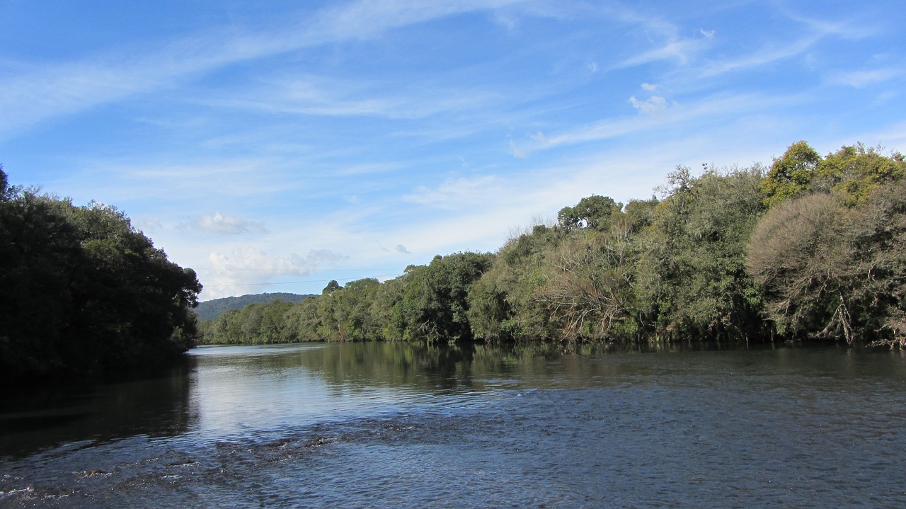 urubici river trees free photo