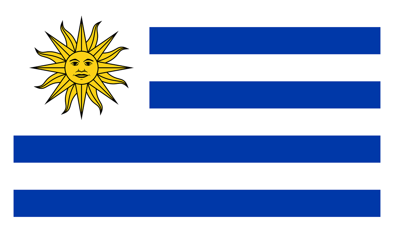 uruguay flag national flag free photo