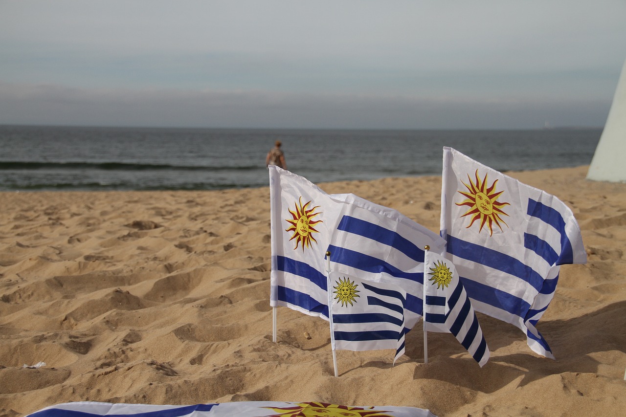 uruguay flag country free photo