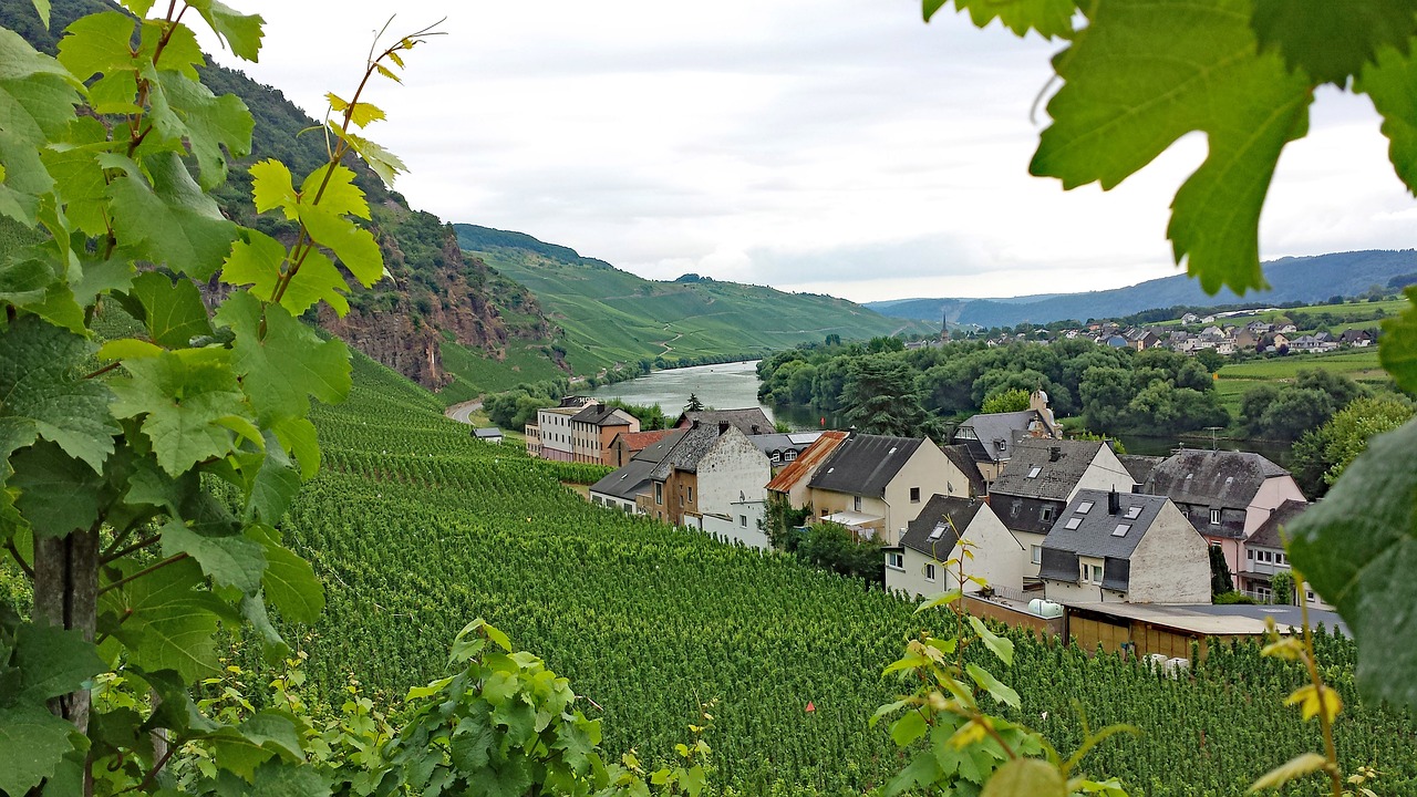 ürzig mosel sachsen free photo