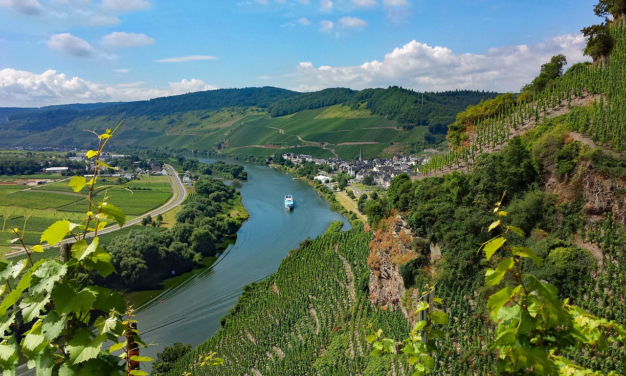 ürzig mosel sachsen free photo