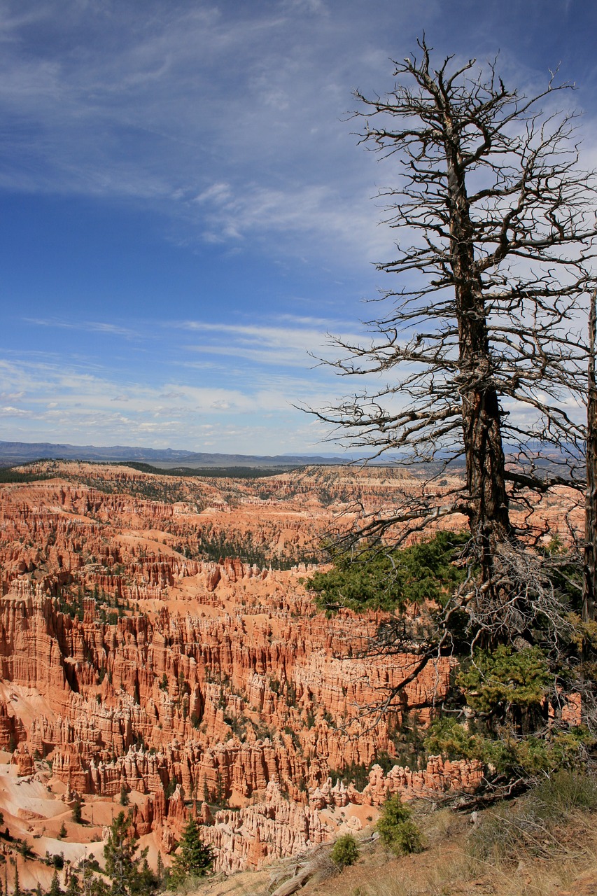 usa bryce canyon national park free photo