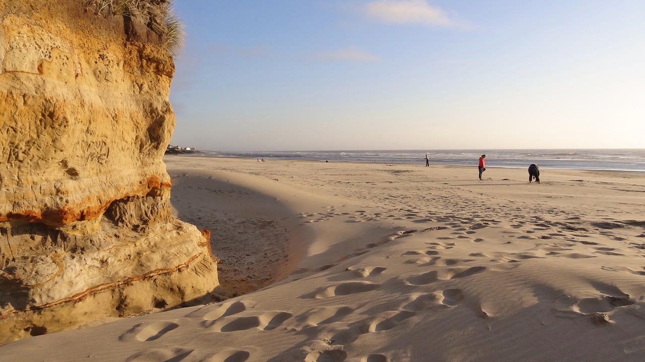 sand dune sea free photo