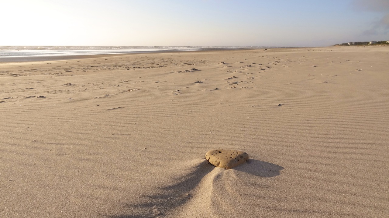 sand beach usa free photo