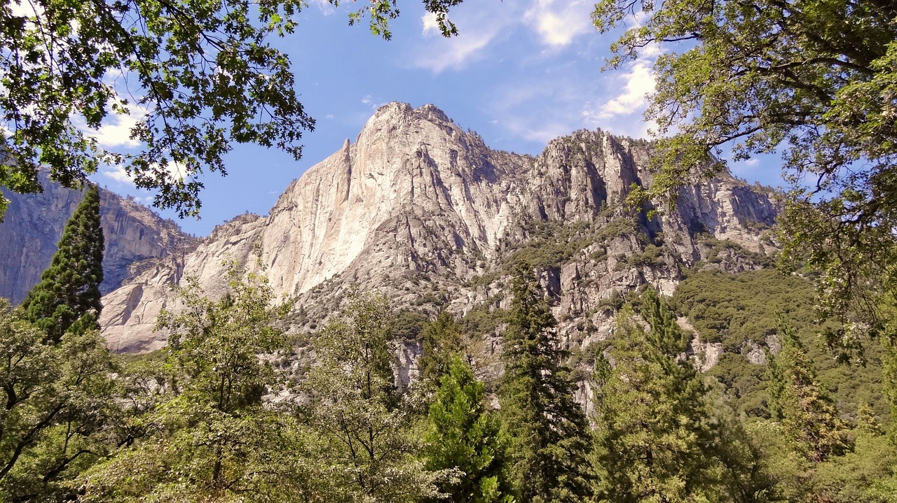 usa america yosemite park free photo