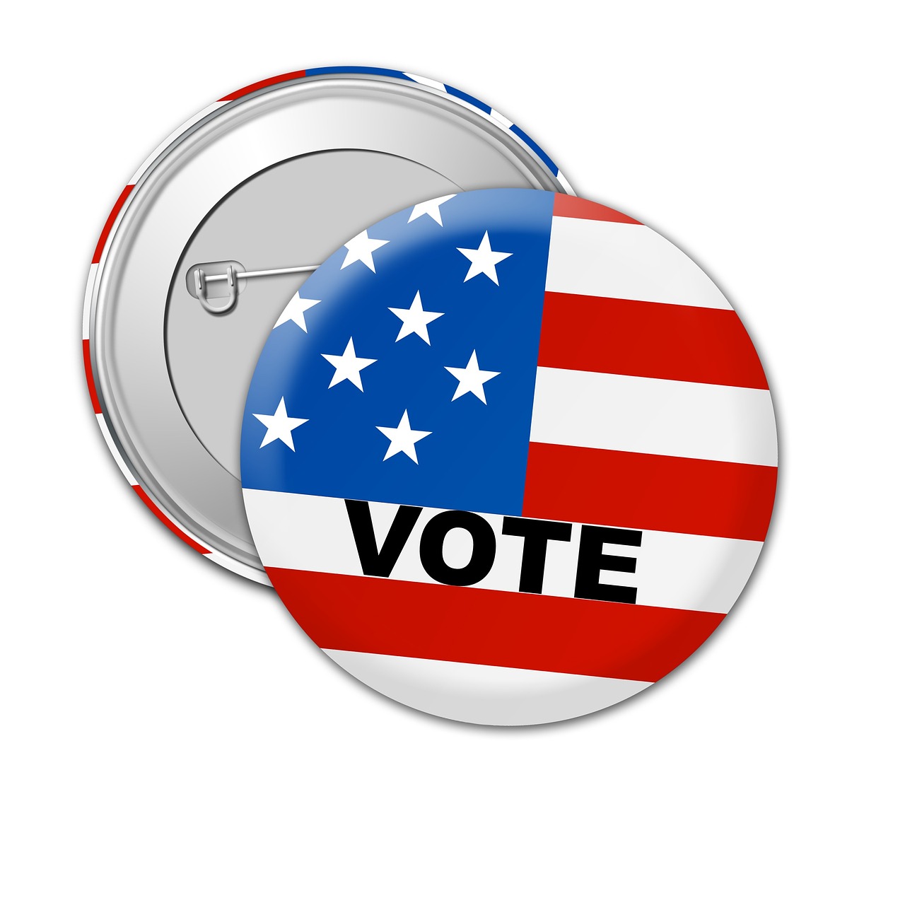 usa vote election free photo