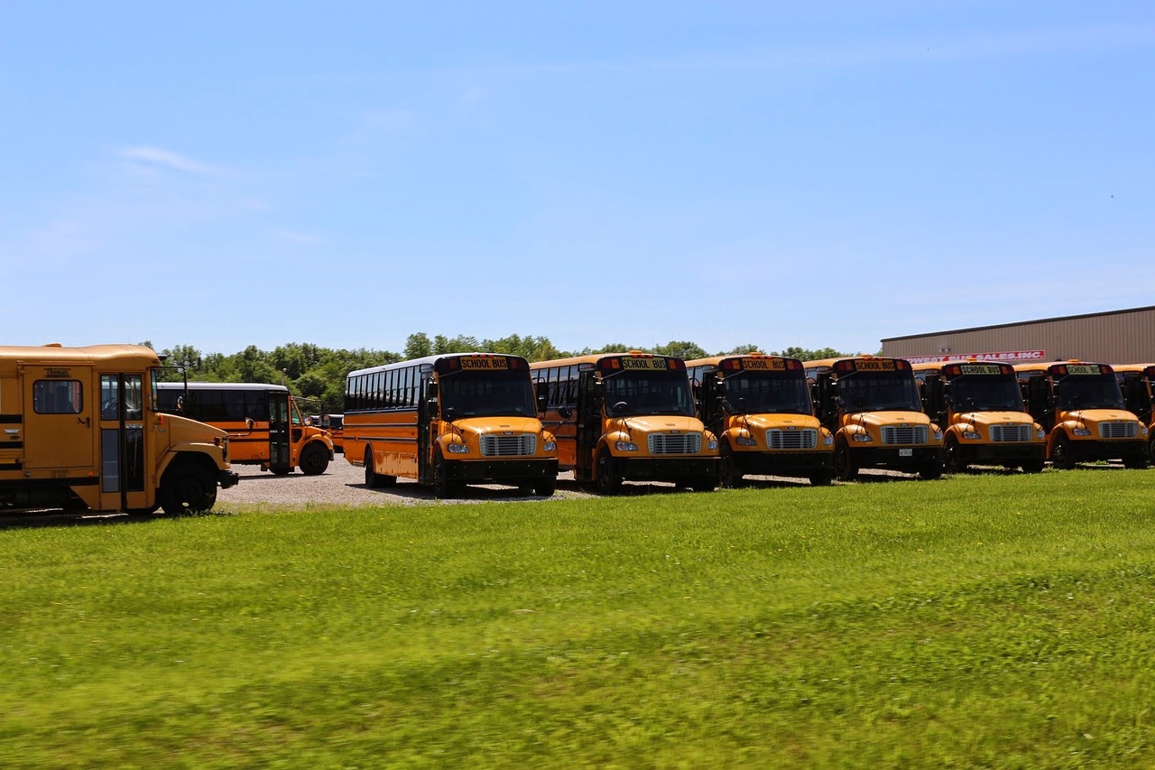 usa school bus school buses free photo
