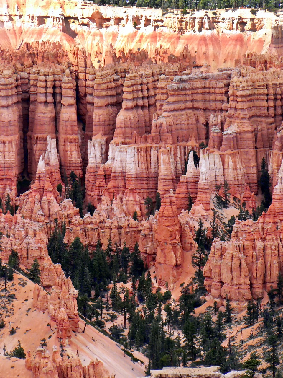 usa cliff bryce canyon free photo