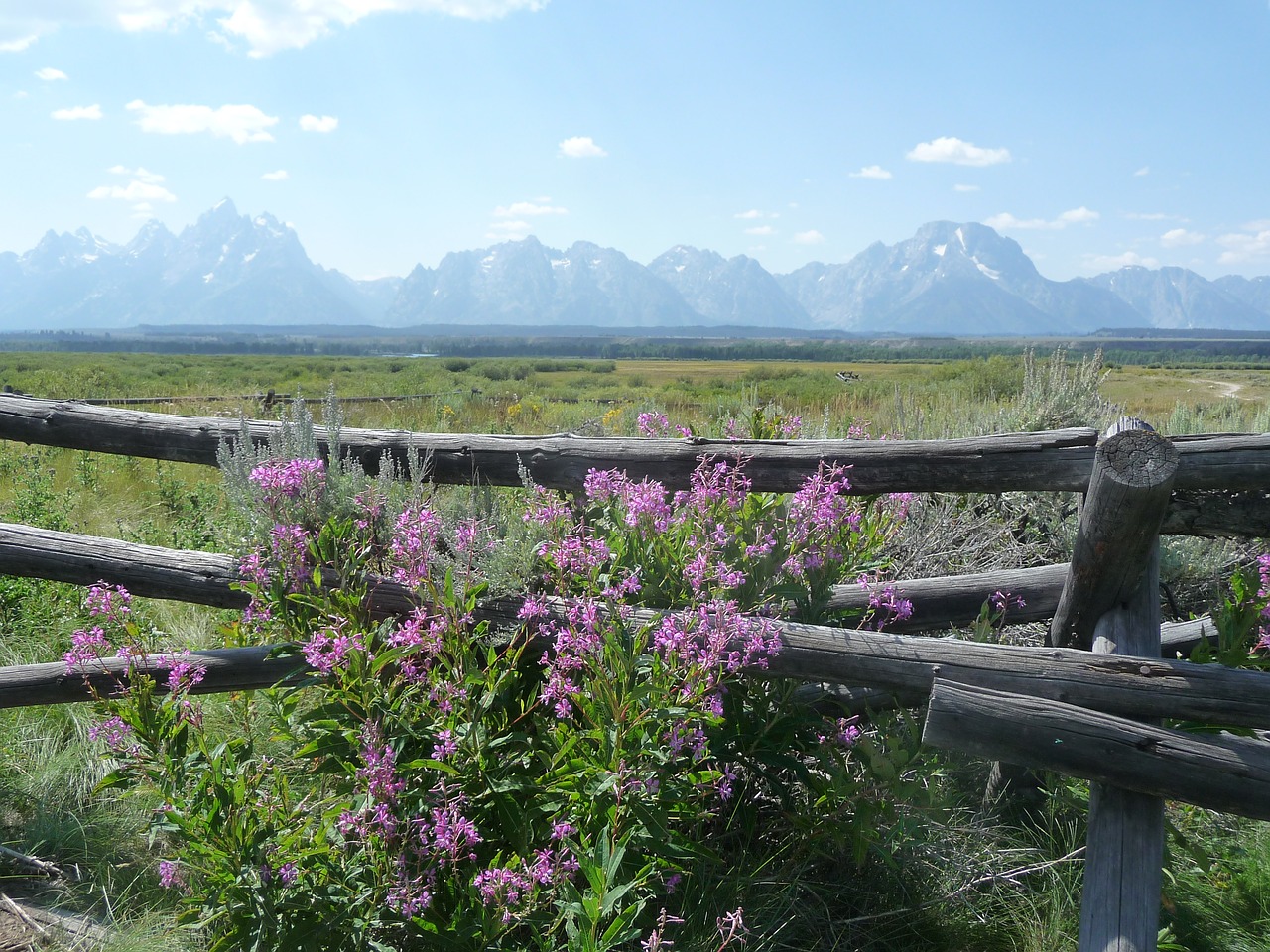 usa wyoming grand teton national park free photo