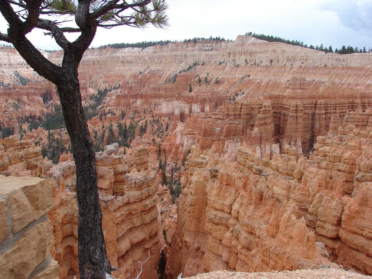 usa national park bryce canyon free photo