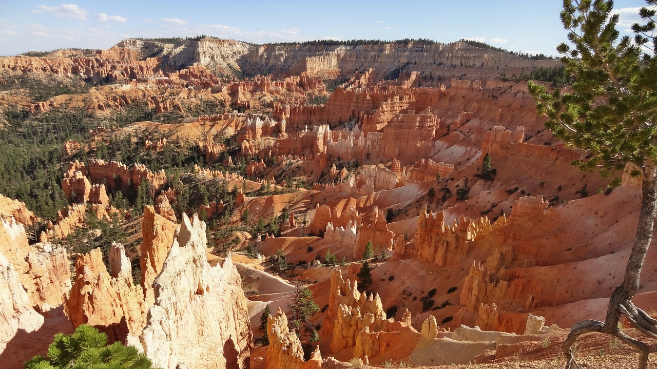 usa bryce canyon canyon free photo