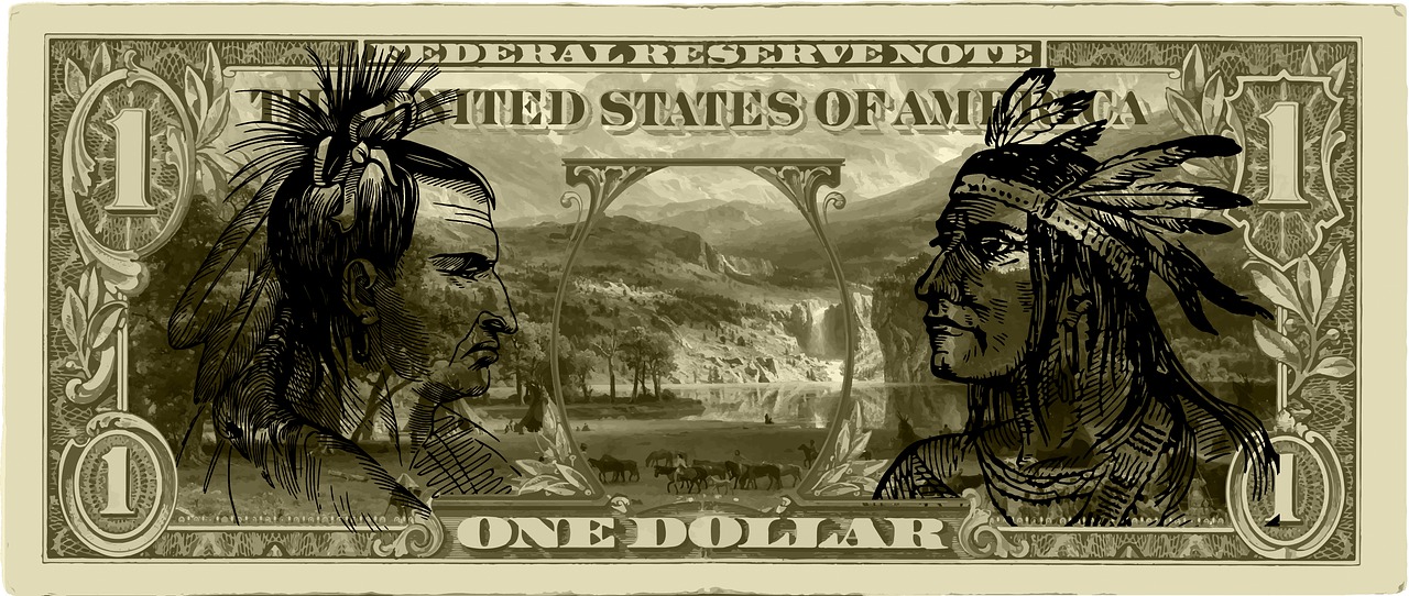 usa dollar indians free photo