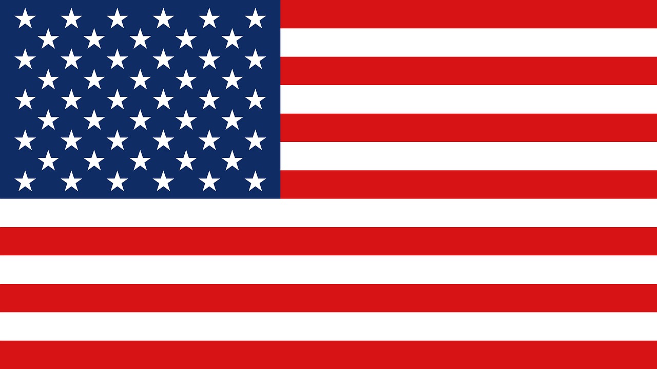 usa usa flag united states free photo