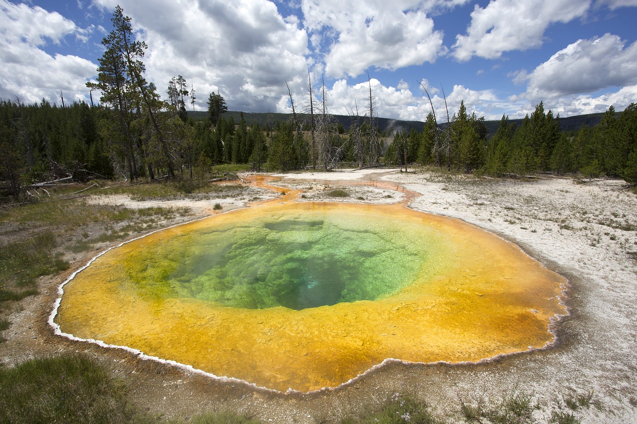 usa yellowstone national park free photo