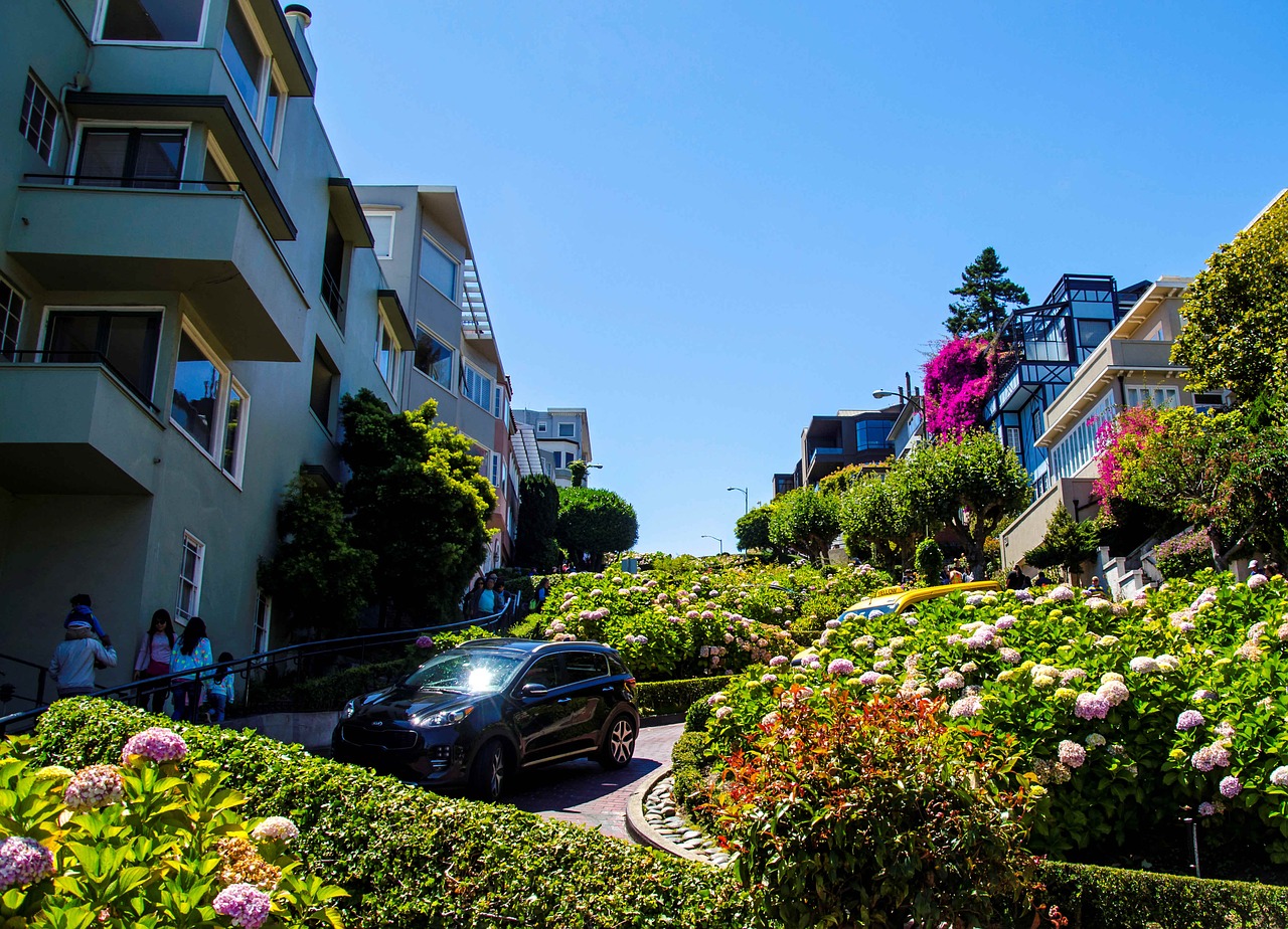 usa san francisco flower street free photo