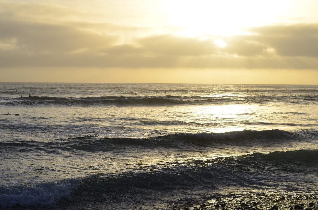 usa california pacific beach free photo