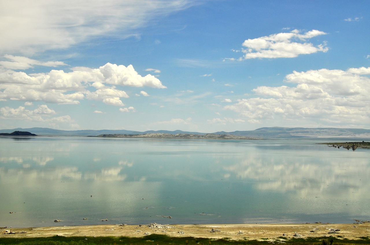 usa  america  mono lake free photo