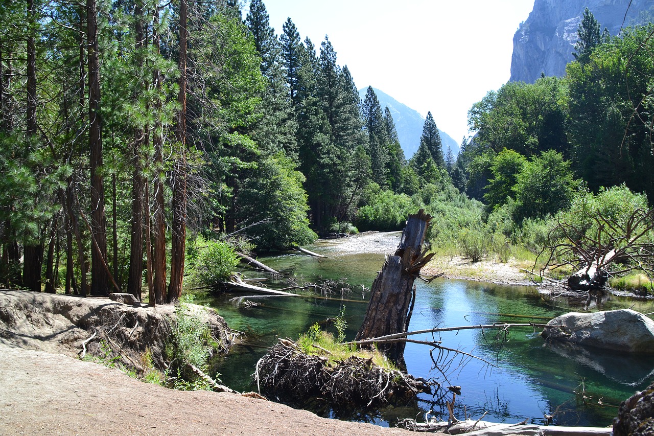 usa  national park  california free photo