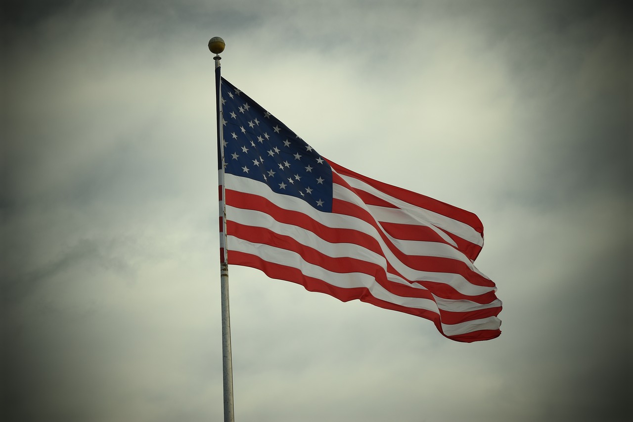 usa  flag  patriotic free photo