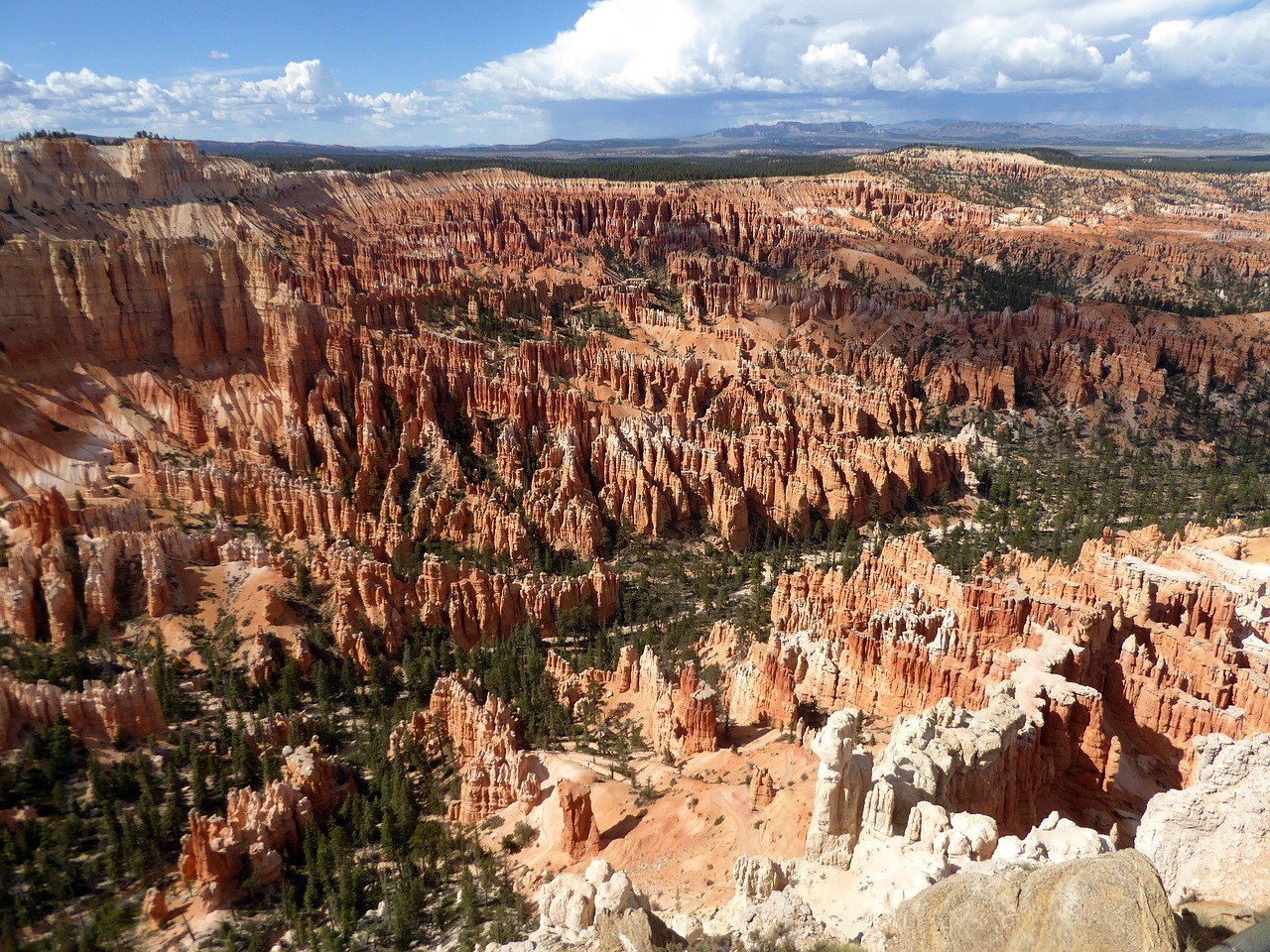 usa national park bryce free photo