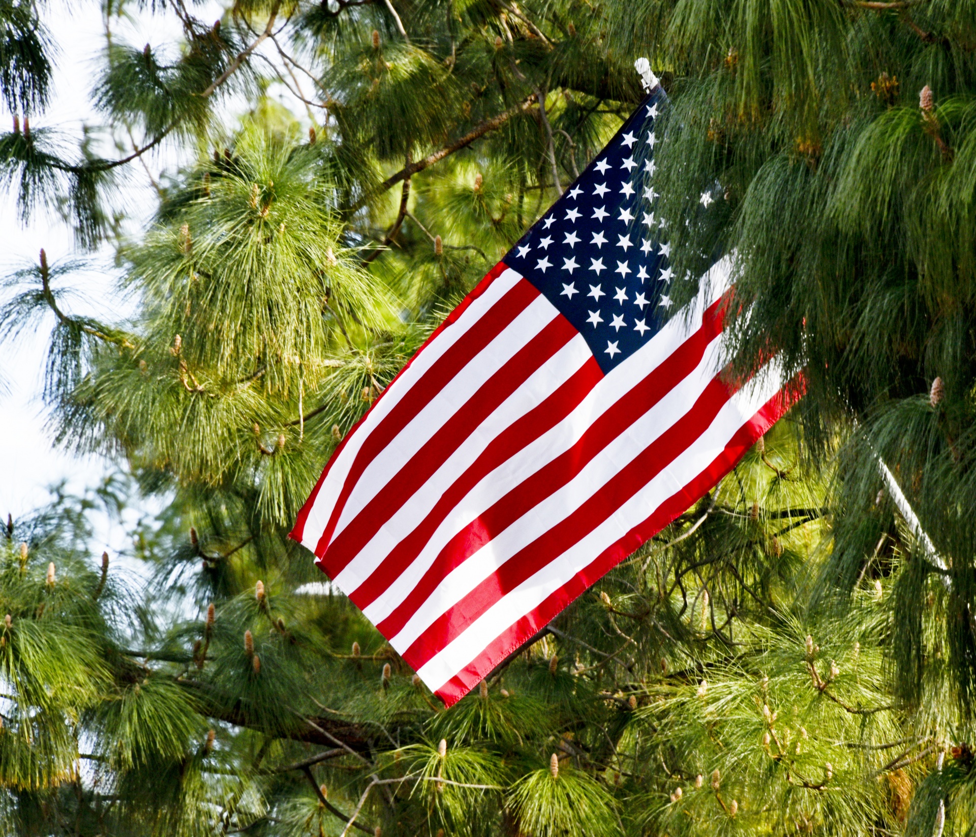 flag american usa free photo
