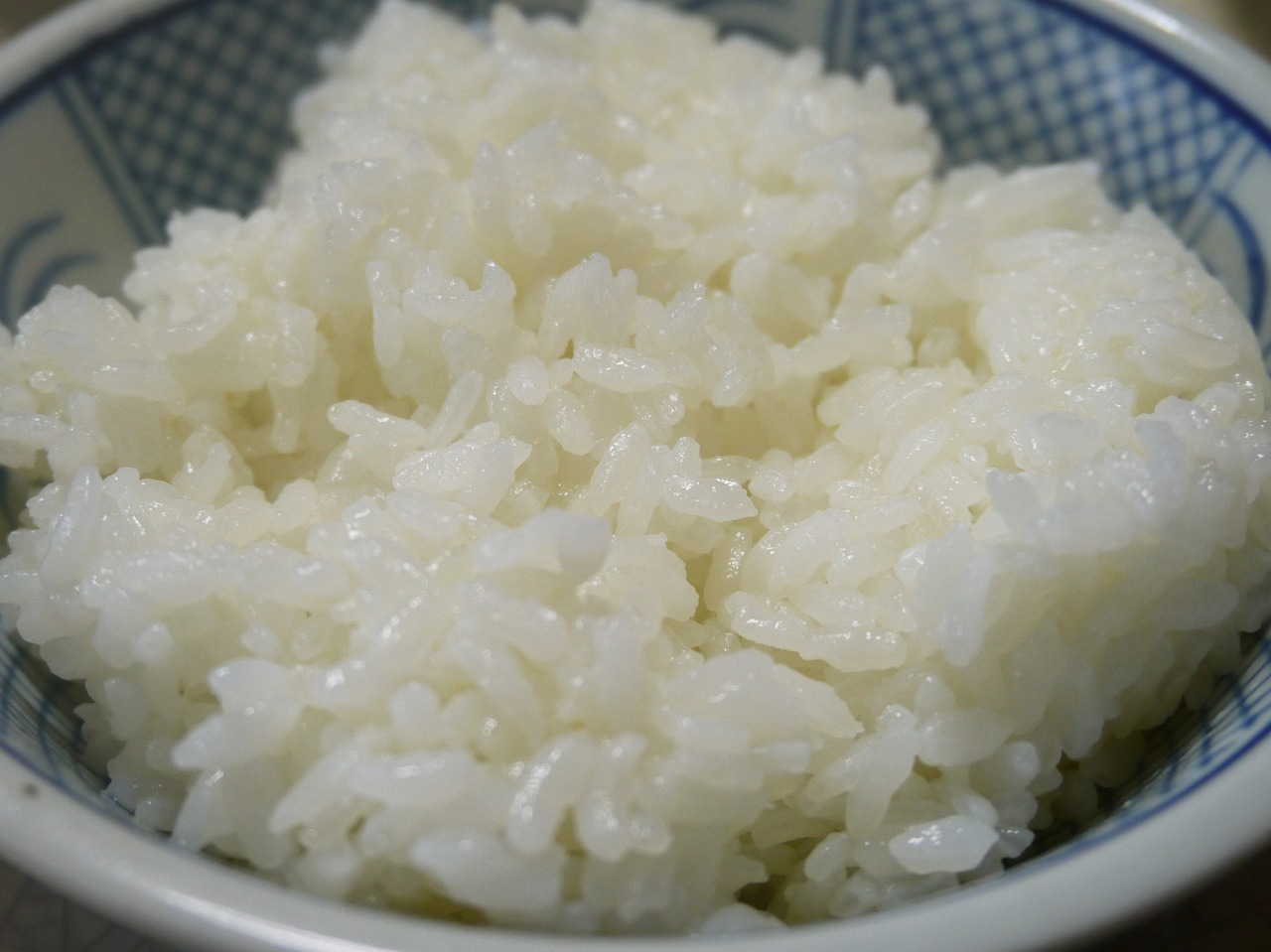 usd rice food free photo