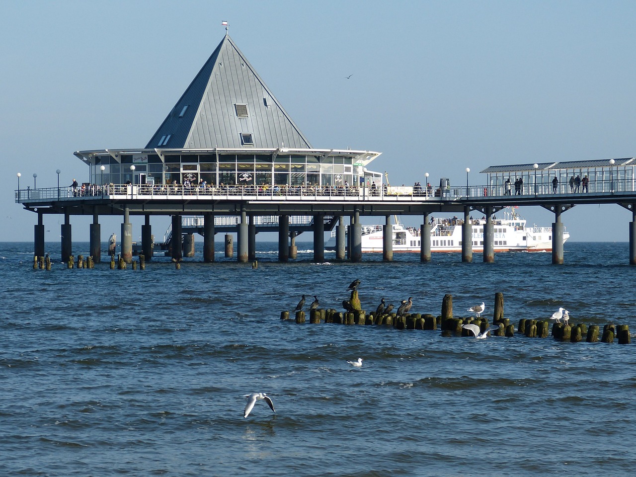 usedom island island of usedom free photo