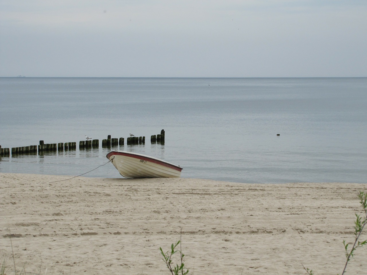 usedom beach water free photo