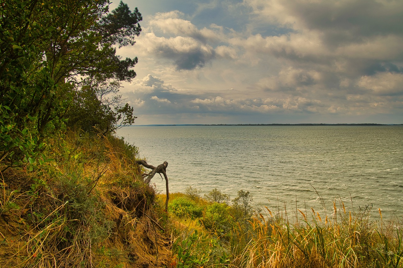 usedom  baltic sea  water free photo