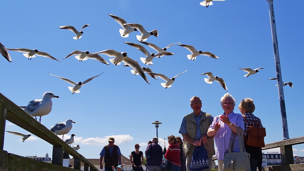 usedom zinnowitz sky free photo