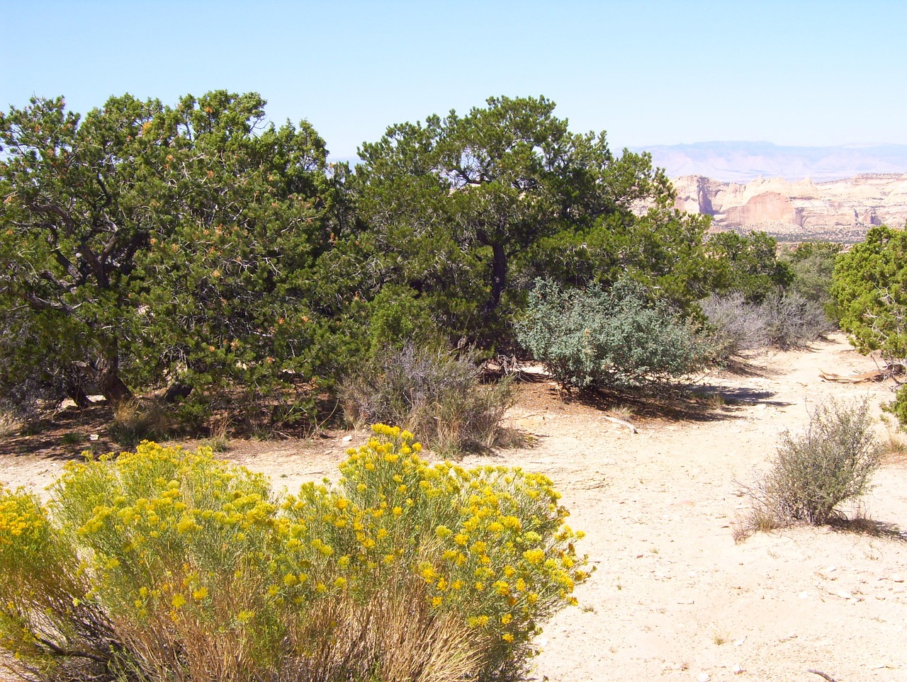 utah desert landscape free photo
