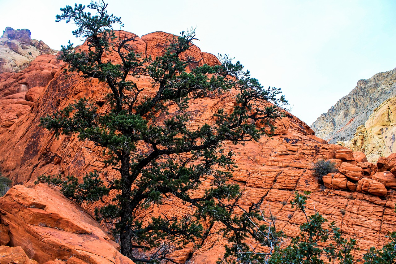 utah red rocks red free photo