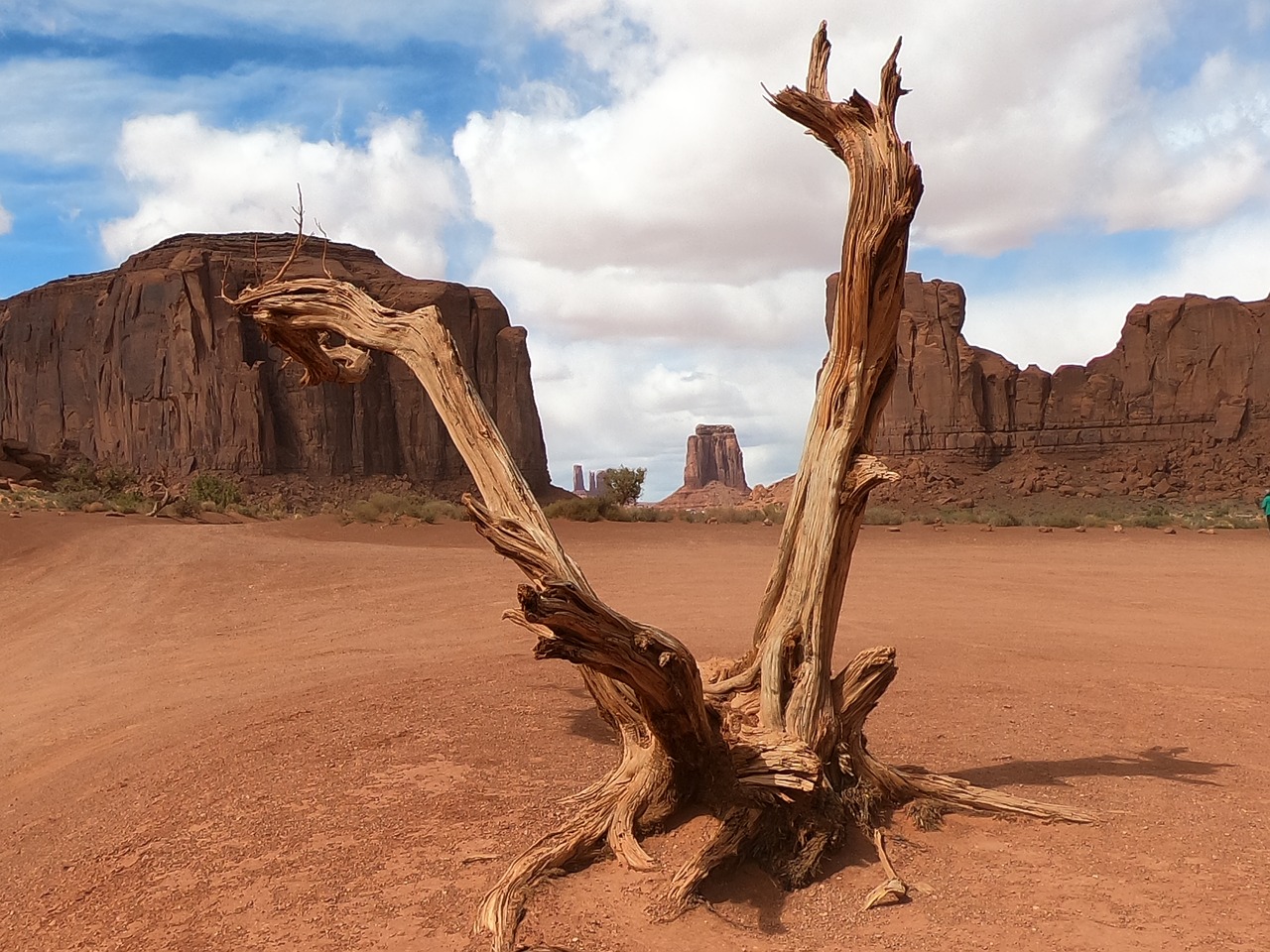 utah  desert  mountain free photo