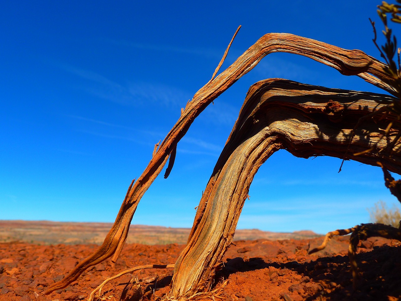 utah landscape desert free photo