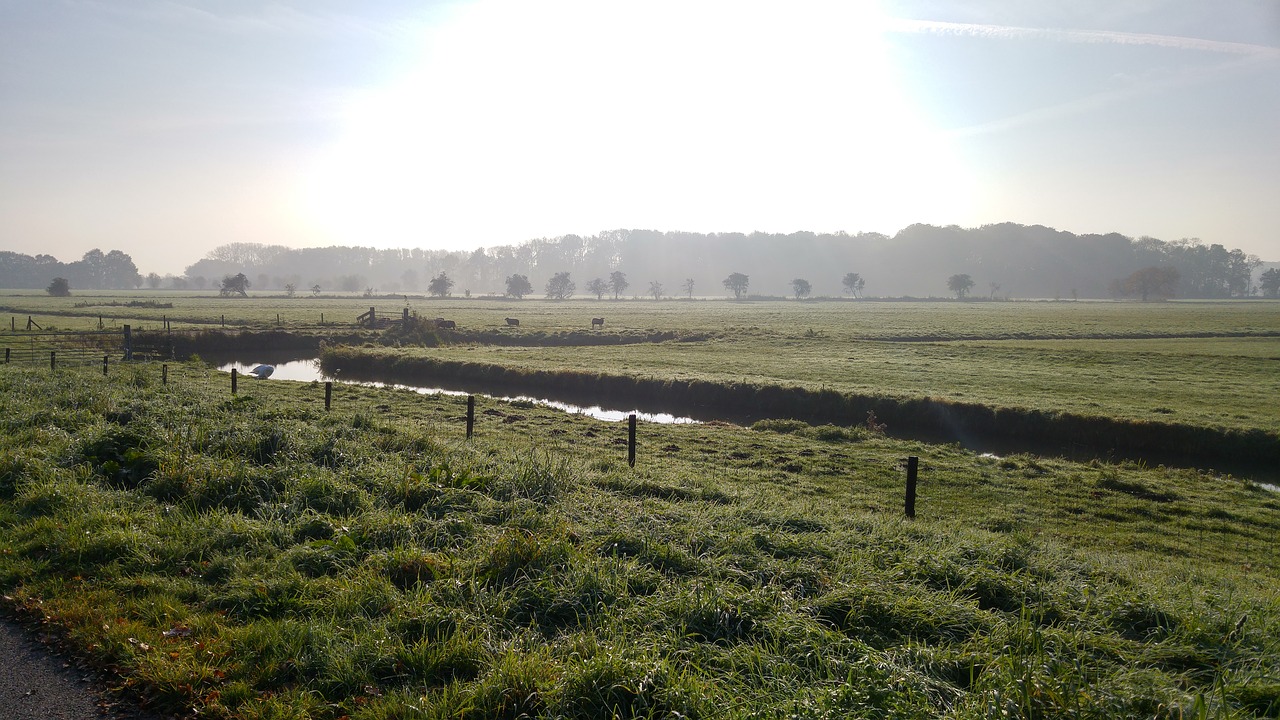 utrecht uithof landscape free photo