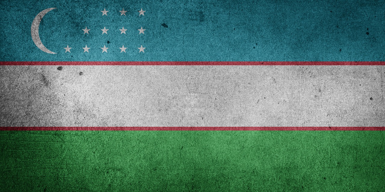 uzbekistan flag grunge flag free photo